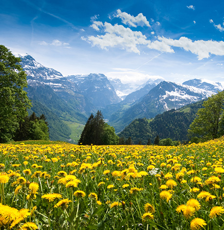Image of Discover Switzerland, Austria & Bavaria