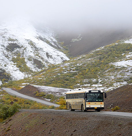 image of Alaskan Tour Bus off the beaten path