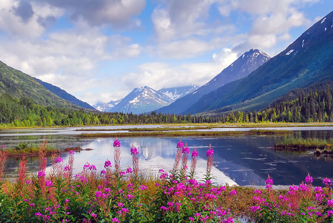Alaska