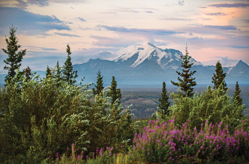 image of Mount Drum in Alaska