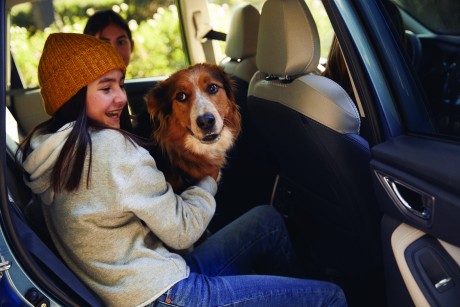 image of dog sitting on girl's lap in a car
