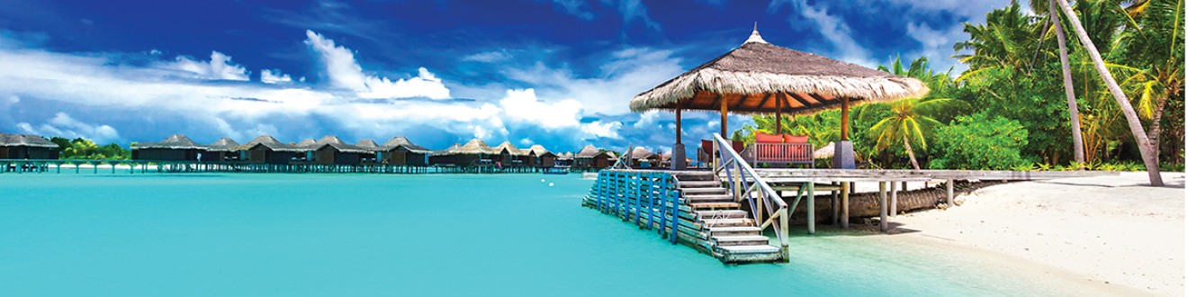 travel consultants