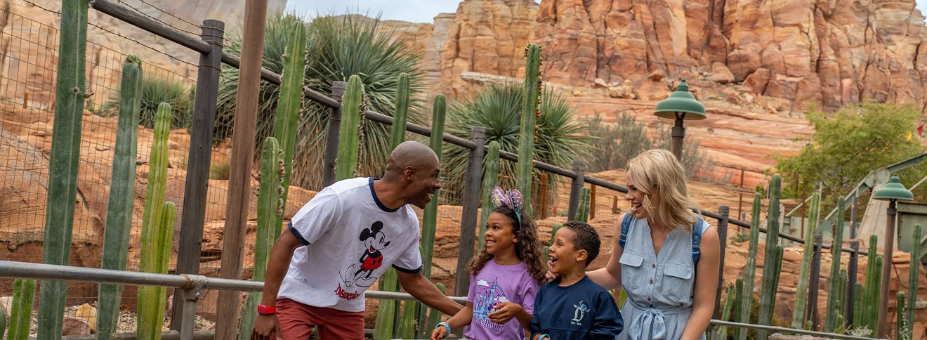 image of family having fun at Disneyland