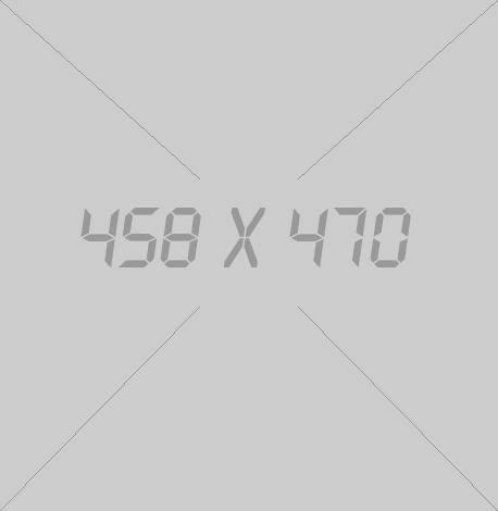 Image Highlight - 458x470