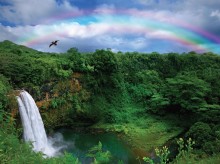 image of waterfall with rainbow 