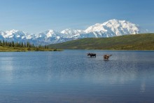 image of Wonder Lake in Denali National Park, Alaska