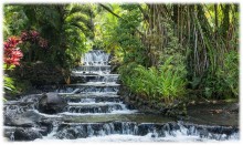 image of Tabacon Hot Springs