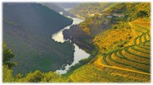 image of Portugal countryside