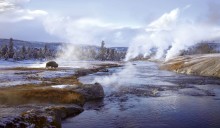 image of Yellowstone in Wintertime