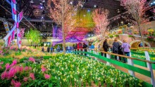 Philadelphia Flower Show
